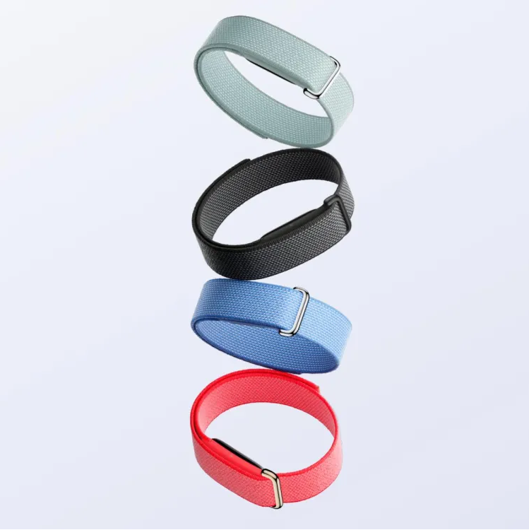 Google Fitbit Air