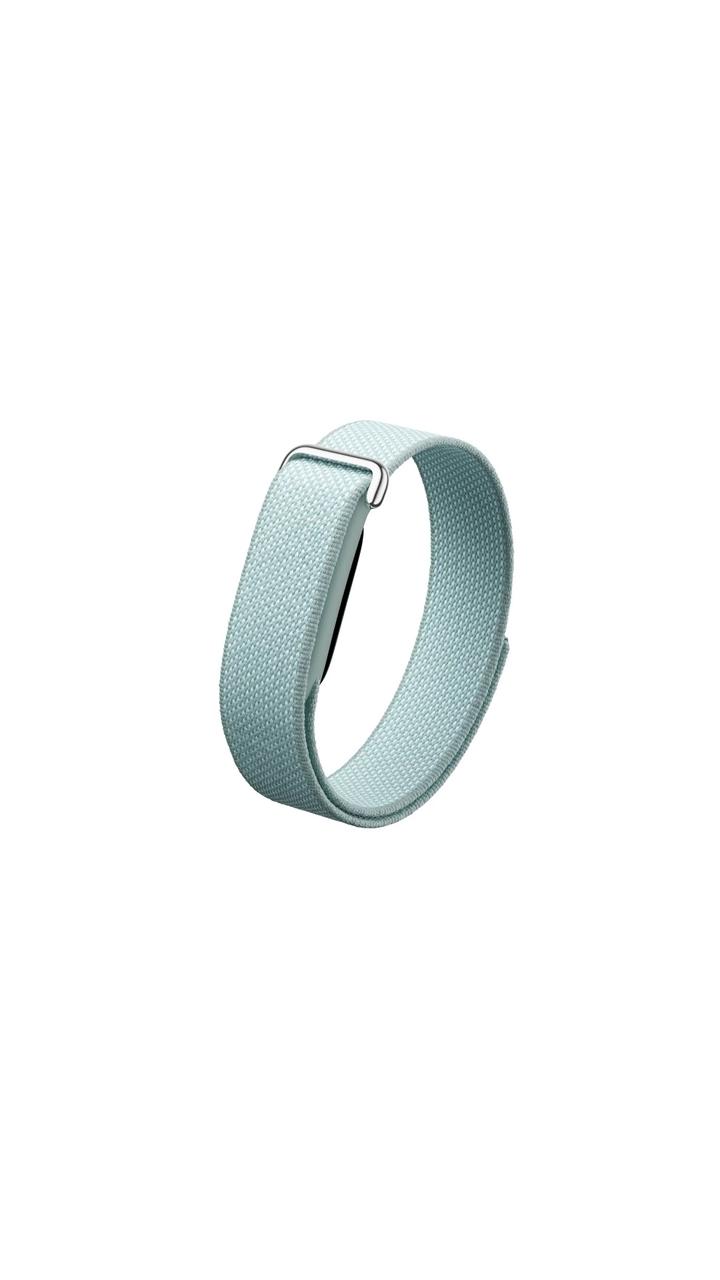 Google Fitbit Air Performance Loop Band Only Compatible with Fitbit Air - One Size