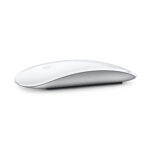mouse 1